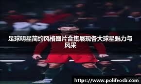 他们以