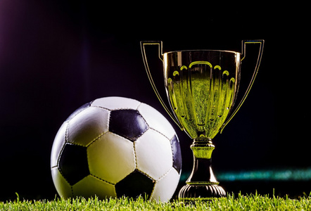 给予了极大 给予了极大