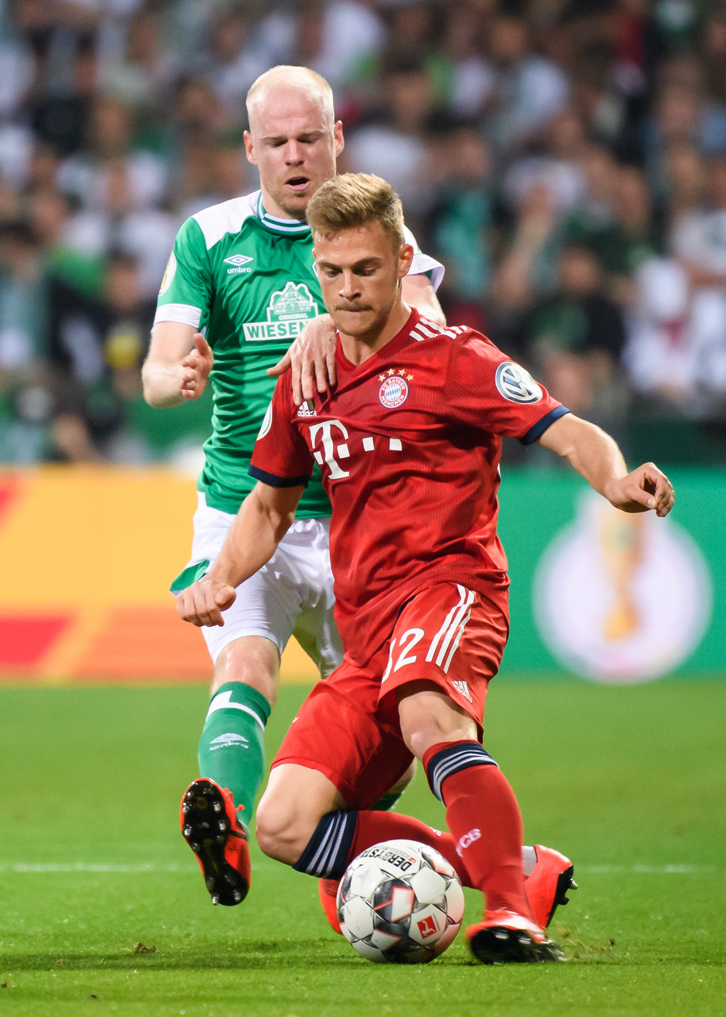 手的形成之 手的形成之